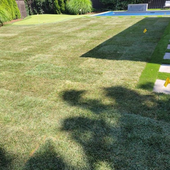 franks-outdoor-maintenance-portfolio-3