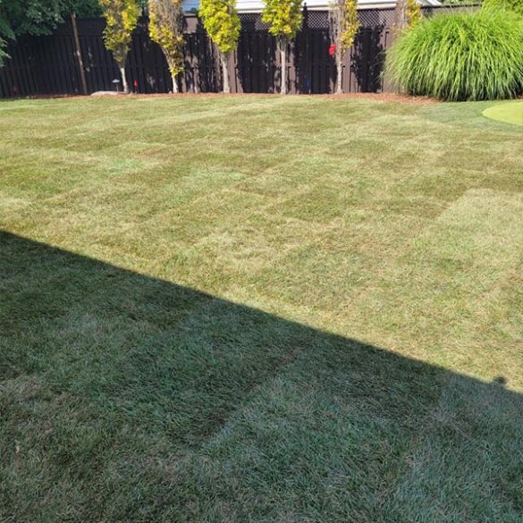 franks-outdoor-maintenance-portfolio-4