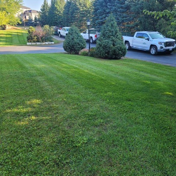 franks-outdoor-maintenance-portfolio-6