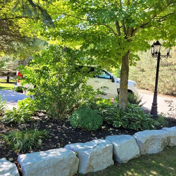 franks-outdoor-maintenance-portfolio-7